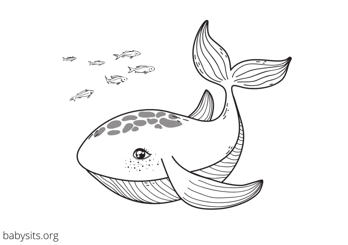 Sea animal coloring pages free