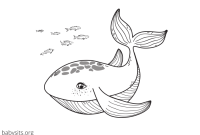 Free coloring pages sea animals