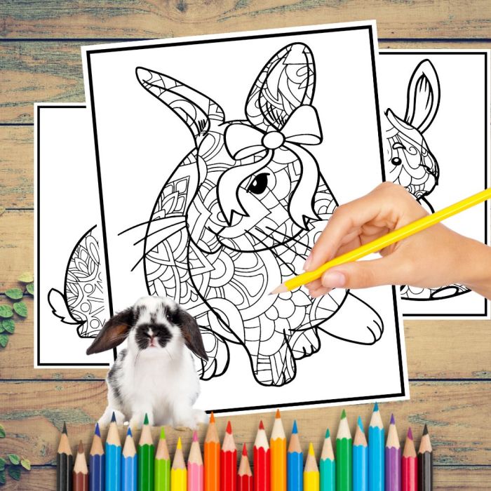 2023 chinese new year animal coloring pages