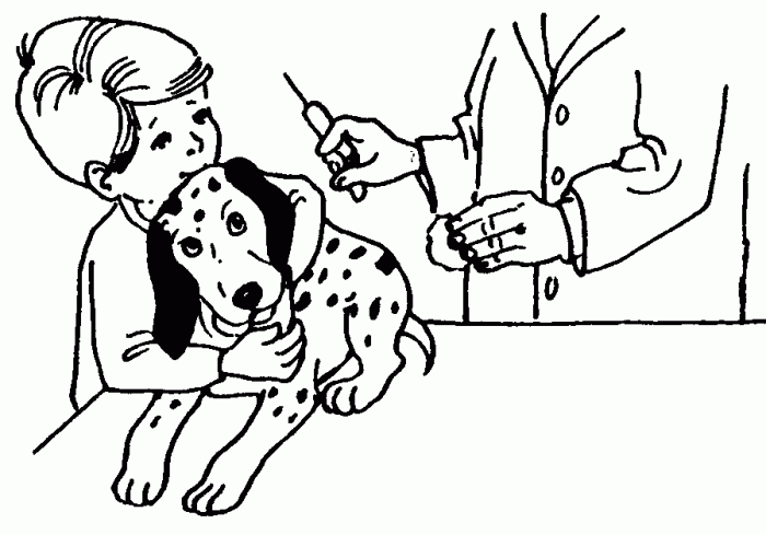 Animal care coloring pages