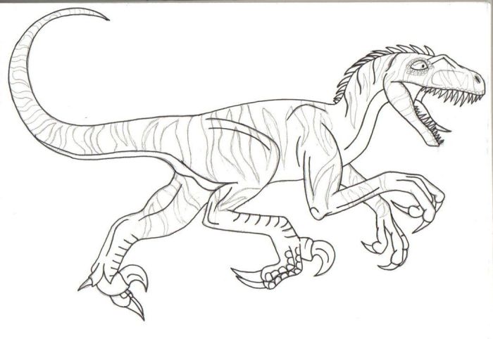 Animated velasa raptor dinosaur coloring pages