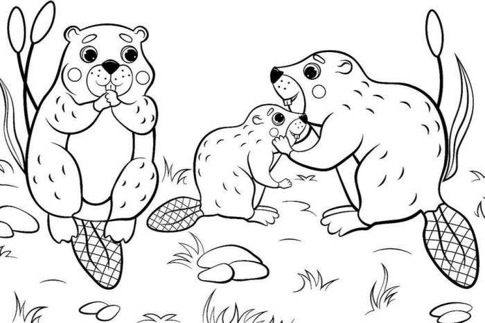 Free printable coloring page animals