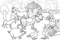 Animal coloring page farm