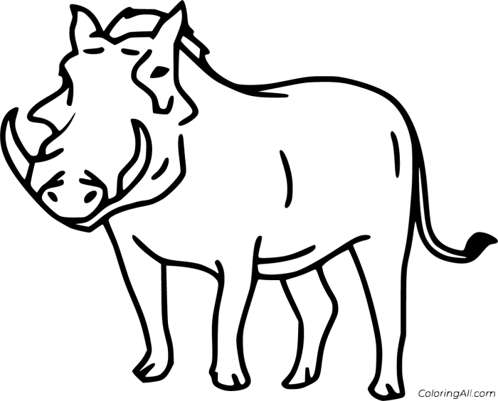 Animal face coloring simple warthog