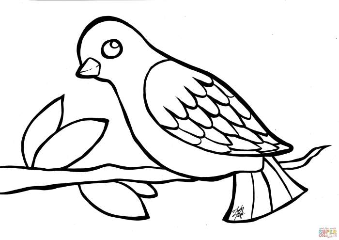 Animal face coloring simple bird