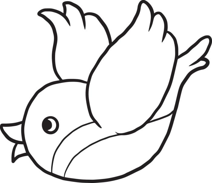 Anime birdt coloring pages