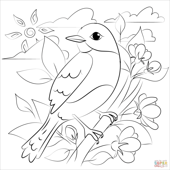 Animal coloring pages birds bluebird