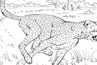 Animal full page printable coloring pages