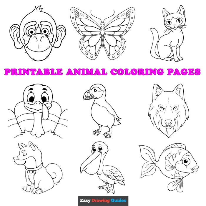 Animal coloring pages sheets