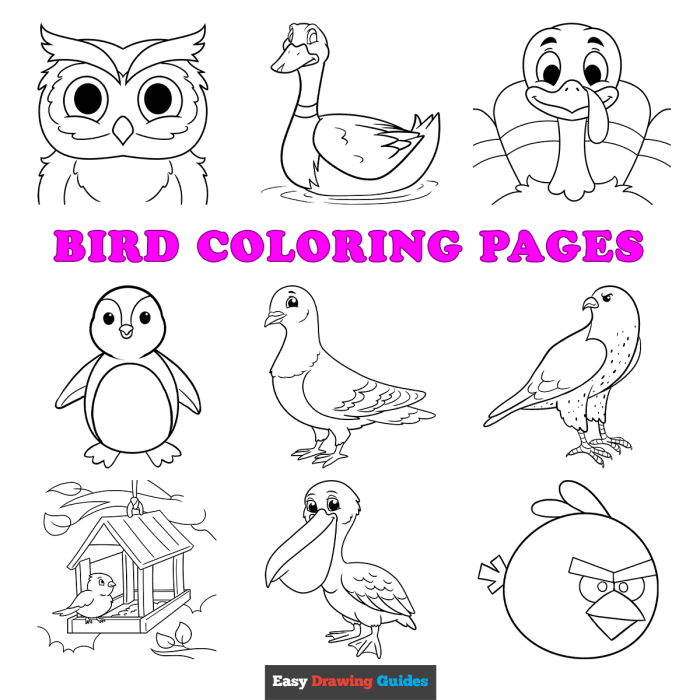 Bird wecoloringpage