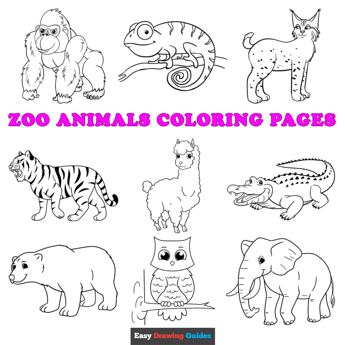 Animals clipart for coloring