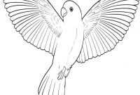 Animals that fly coloring page