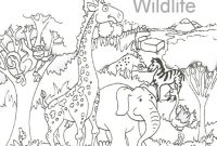 God made the animals coloring sheet