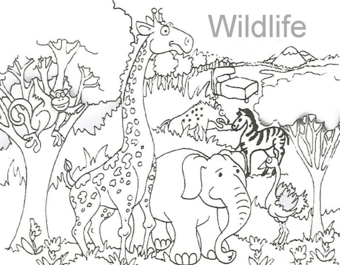 God made the animals coloring sheet