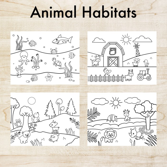 Animals habitats coloring pages