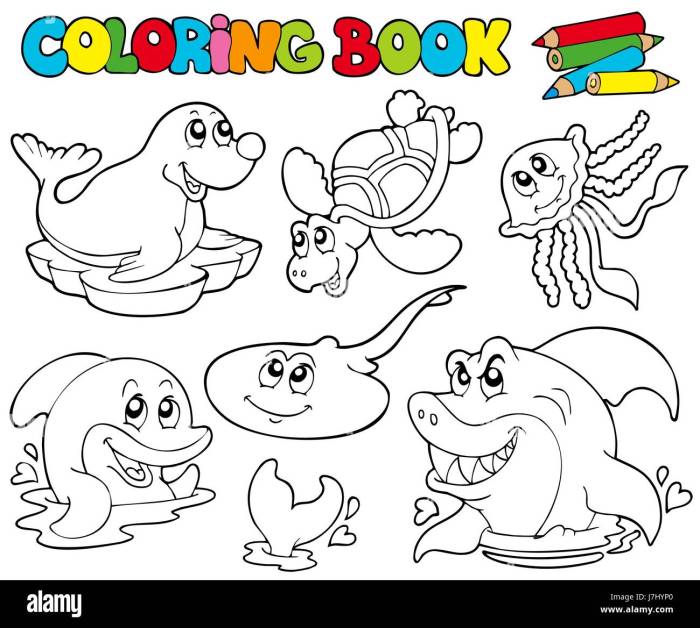 Animal coloring book big sur