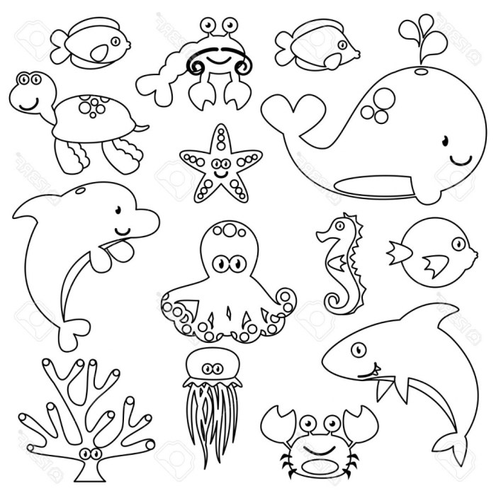 Coloring sea animals drawing