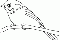 Animated bluebird coloring page