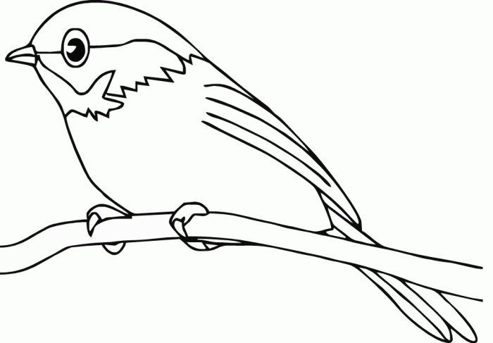 Animated bluebird coloring page