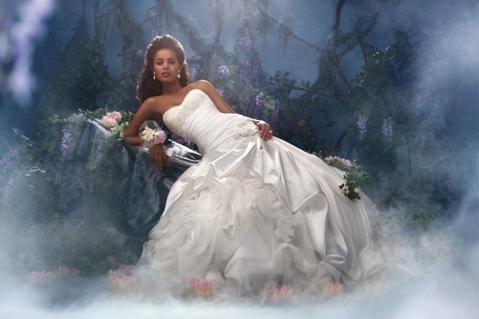 Disney tiana wedding dress