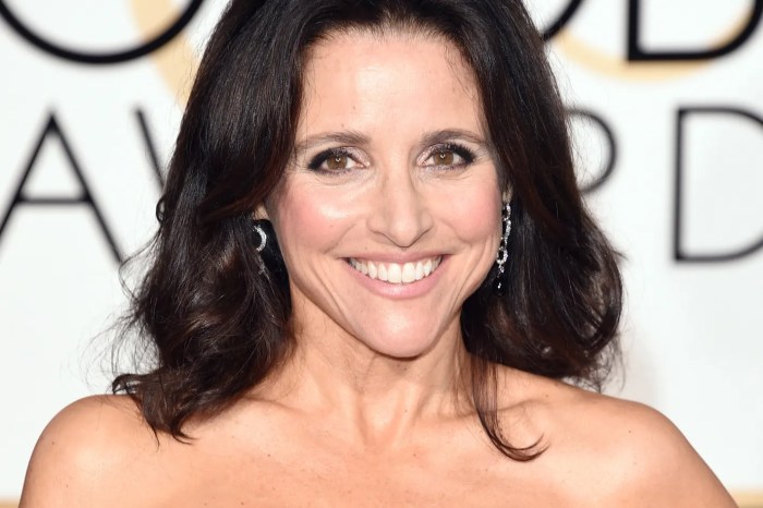 Julia louis dreyfus wedding dress