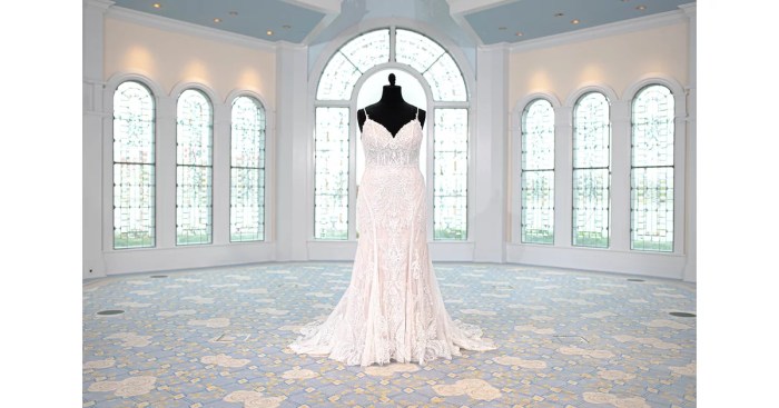 Disney tiana wedding dress