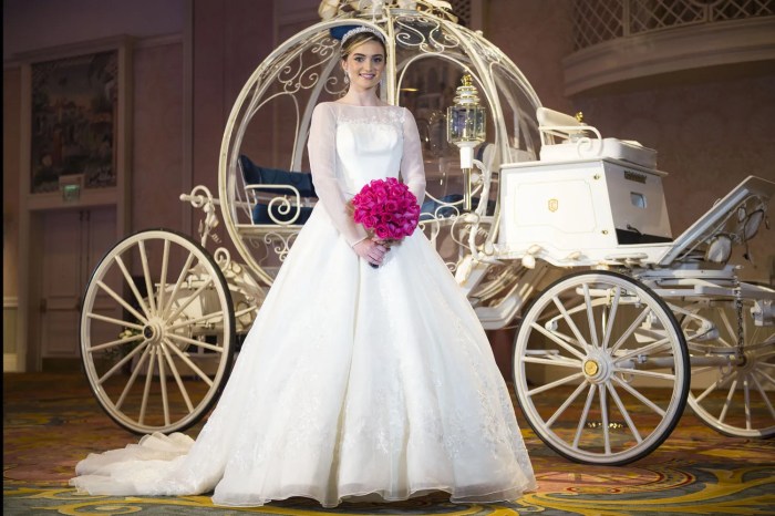 Cinderella wedding dress 2015 movie