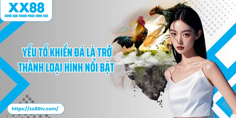 Yếu tố khiến đá là trở thành loại hình nổi bật 